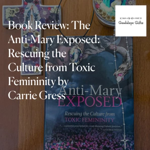 BOOK Review The AntiMary Exposed Rescuing the Culture from Toxic